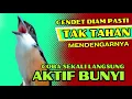 Download Lagu PASTI TAK TAHAN CENDET MENDENGARNYA❗ PANCINGAN CENDET AGAR RAJIN BUNYI❗❗
