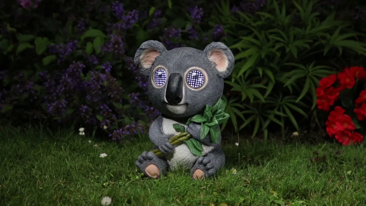 Blinkin' Koala