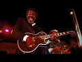 Luther Allison - Party Time