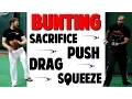 Baseball Bunting Series How To Bunt Types 3 of 3 Pro Speed Baseball