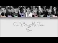 Lagu [Han|Rom|Eng] Exo - Can't Bring Me Down (Lyrics)