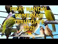 Download Lagu Kutilang JAWA,Kutilang JAMBUL,Kutilang EMAS,Kutilang SUTRA dan TRUCUKAN Pikat KOMBINASI BARU 2021