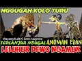 Download Lagu wayang kulit ki seno nugroho full semalam suntuk anoman ngamuk wiwit sore #toiruncs