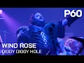 Download Lagu Wind Rose - Diggy Diggy Hole | Live @ P60 Amstelveen