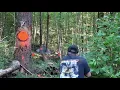 Commercial 2