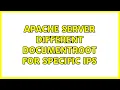 Apache server different DocumentRoot for specific IPs
