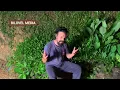 Download Lagu Mohabbat Barsa De Na Tu 2021| Swan Aya he l Amen | Bilovel Media