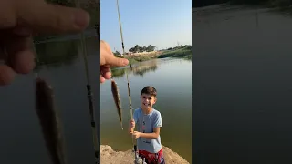 بلونه يصيد سمك 