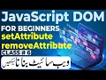 DOM setAttribute and removeAttribute JavaScript DOM Course Urdu Hindi 2023