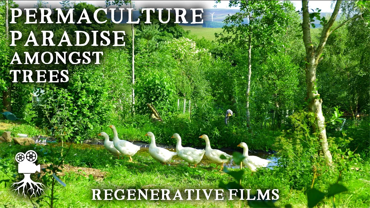 Beautiful 8 Acre Permaculture Farm Combines Trees, Livestock, and a Productive CSA Market Garden
