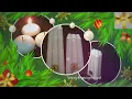 Download Lagu Selamat Hari Natal dan Tahun Baru 2025