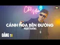 Lagu BÀI HÁT VỀ ĐỜI Ý NGHĨA NHẤT | CÁNH HOA BÊN ĐƯỜNG - PHẠM TRƯỞNG