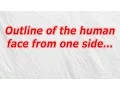 Outline of the human face from one side CodyCross Crossword Answer
