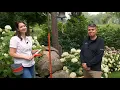 The Best Tools for Weeding