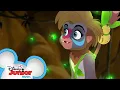 Download Lagu Anything Music Video | The Lion Guard | Disney Junior