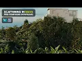 Scattering made easy in Maya Free download