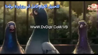 Bolt 2008 مدبلج مصرى ديفيدى قطر 