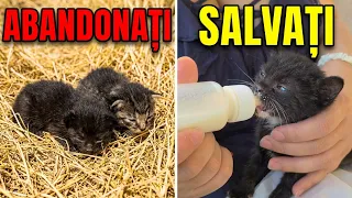 Mureau pe câmp dacă nu ii găseam la timp 😢 Niște ratați de oameni care face asta!😡