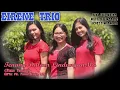 Download Lagu Tenang dalam LindunganMu - Eirene Trio | Piano Version