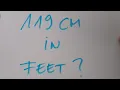 119 cm in feet