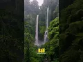 Download Lagu Powerful Sekumpul waterfall at Bali (Indonesia) #bali #indonesia #watetfall #travel #travelvlog