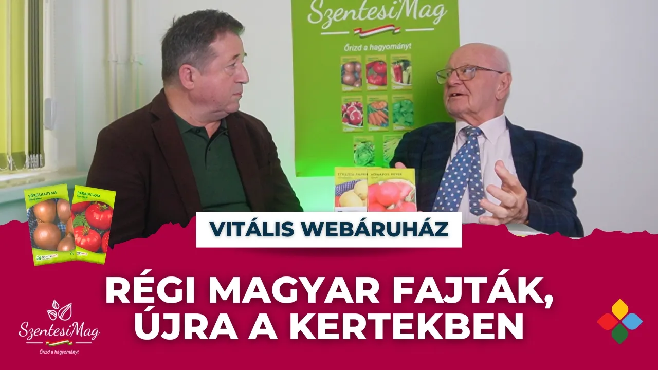 Szentesi Mag