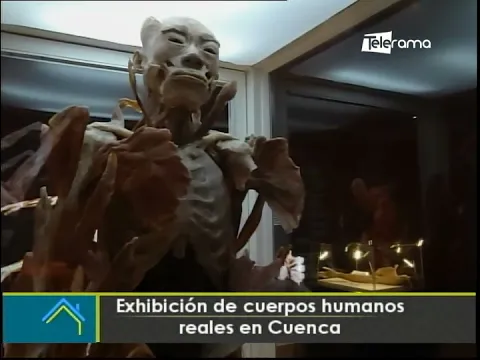 Exhibición de cuerpos humanos reales en Cuenca