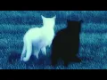 liga baru - tenxi, yung caters & jemsii (slowed+reverb)