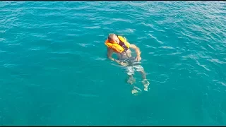 USVI St. Thomas Part II Christmas Cove Iguana’s wrestling / Sailing Aquarius #11