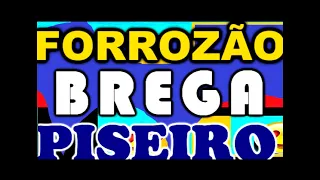 FORROZÃO BREGA PISEIRO - Vidrado nela