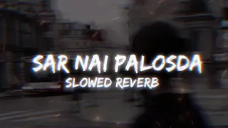 ser nai palosda ammy virk full song slowed reverb 