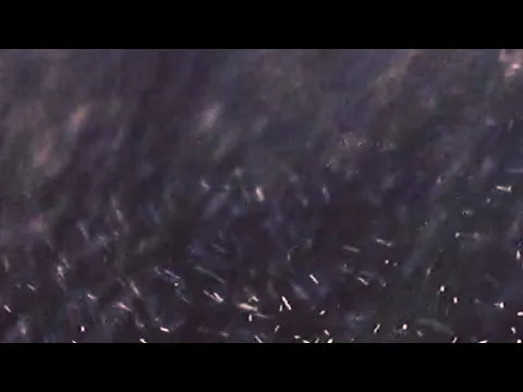 Inspection 01 | Short Film