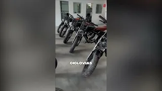                                            دندنها
