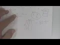 4 11 19 graphing parabolas worksheet