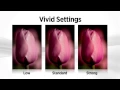 Canon EOS 60D Tutorial - Basic Plus Feature