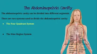 CHAPTER 1 Introduction to Anatomy and Physiology