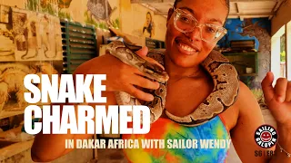 Tamed Or Wild? | Stuck In Society Or Free At Sea | Zoo, Beauty & Boat Parts | Season 6 | Episode 83