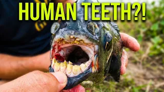 5 DEADLIEST River Monsters Of The Amazon!