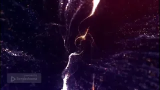 زفات      زفة هب السعد بدون اسماء     اوركسترا   شيخة العسلاوي  حصريا         حالتي