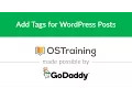 WordPress Beginner Tutorial Add Tags for WordPress Posts