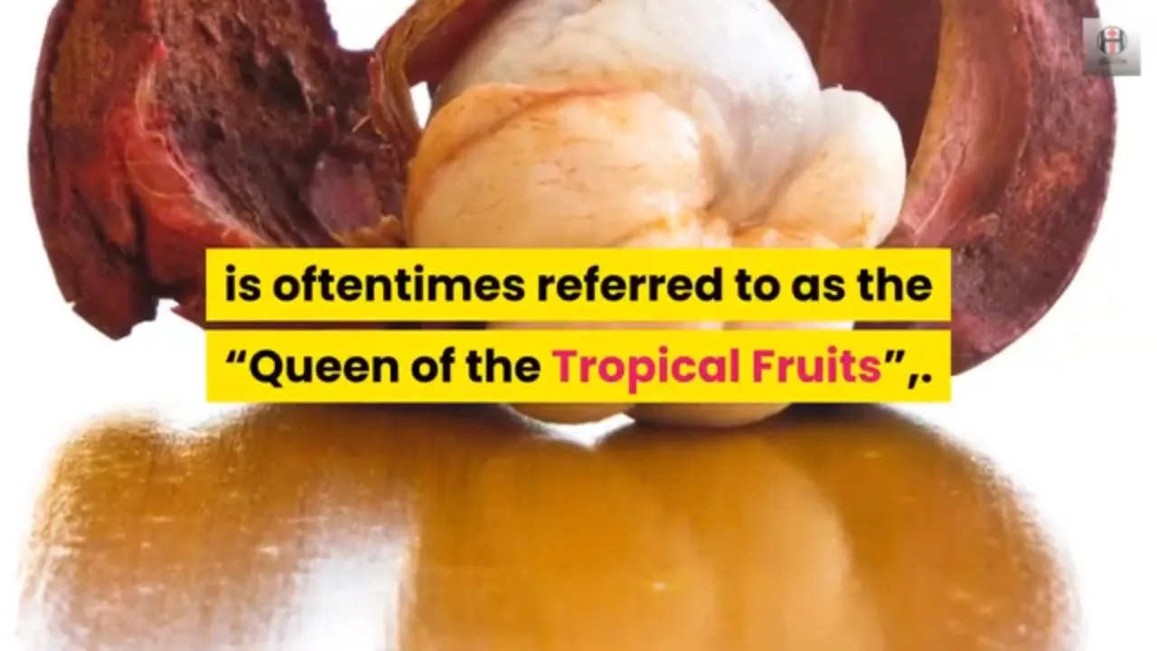 Kapuso Mo, Jessica Soho: Marang at Mangosteen. 