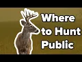 Where To Hunt Public