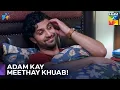 Download Lagu Adam Neha Kay Baray Main Soch Raha Hai | Hum Tum Episode 25