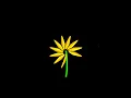 Sunflower Drawing with Python Turtle