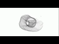 processing shapesfromagents exam
