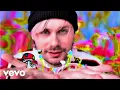 Download Lagu 5 Seconds of Summer - Wildflower (Official Video)