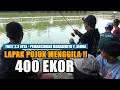 Lagu HAL YANG DITAKUTKAN PEMANCING SELAIN 4 ORANG PEMANCING, IKAN LAGI MAIN DI POJOK‼️