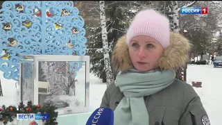 Выставочный сквер сегодня украсит новогодняя инсталляция «Зимующие птицы Омской области»