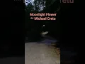 Download Lagu Moonlight Flower - Michael Cretu 문라잍 플라워 - 마이클 크레투