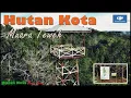 Download Lagu Drone Hutan Kota Tumenggung Surapati | Muara Teweh | 4K #hutankota #muarateweh #baritoutara